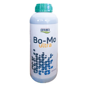 Bo-Mo