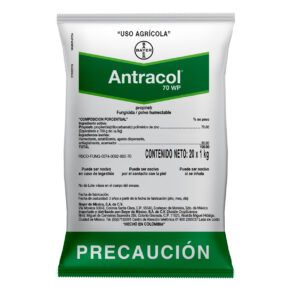 Antracol
