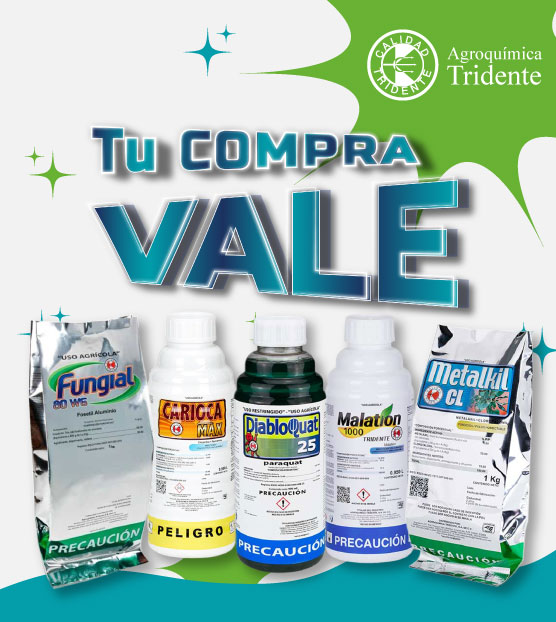 Agroquímicos Fungicida Fertilizante Trips antracnosis cintilla de riego Cinta de riego semilla pestalotia Fumigadora Bomba de fumigar Mochila fumigar Bactericida Molusticida Invernadero Hidroponía Granulado Soluble Riego Herbicida Insecticida Fungicida Foliar Urea Triple 16 Agronomía Agricultura Aguacate Hass Avocado Fresa Cosecha Chile (pimiento) Blueberry Vivero Ingeniería Agricultura sustentable Cultivos orgánicos Manejo integrado de plagas Fertilizantes naturales Agricultura de precisión agroecología Biodiversidad agrícola Riego eficiente Rotación de cultivos Agricultura regenerativa Semillas no transgénicas Agricultura urbana Invernaderos agricultura vertical Ganadería sostenible Conservación del suelo Agricultura familiar Agricultura hidropónica Biofertilizantes Control biológico de plagas _______________________________________________ agroquímicos activador foliar pacifex abamex acetoclor advanced nutrients connoisseur agroquímicos de bayer agroquí­micos y fertilizantes biocrop precio bocachi diatomix gruindag fungicida innovator fungicida lombardia agroquimicos tiamex abonadora de granulados agro quimicos agrofe agrokorita productos agroplasma ferticell agroquímica agroquímicos dragon agroquímicos en jalisco agroquímicos en mexico agroquímicos en morelia agroquímicos Lombardía agroquímicos lombardia uruapan agroquímicos palmar s de r l agroquímicos queretaro agroquímicos rivas agroquímicos texcoco agroquímicos versa s a de c v agroquí­mica tridente s a de c v agroquí­micos agroquí­micos en la plata allectus 300 sc amistar top precio arysta agroquí­micos atp innovak bulto de sulfato de amonio precio catalogo fertilizantes cloruro de potasio fertilizante cloruro de potasio granulado precio distribuidora de agroquimicos donde comprar urea empresas agroquimicas en mexico empresas de agronomia en mexico empresas de agroquÃ­micos en mÃ©xico entrust insecticida precio fabricantes de fertilizantes en mÃ©xico fertilizante fertilizante urea precio fertilizantes fertilizantes agricolas fertilizantes del norte fertilizantes e insumos agricolas s a de c v fertilizantes en durango fertilizantes liquidos ecologicos fertilizantes organicos fertilizantes para plantas de jardin fertilizantes puebla fertilizantes tecnificados de zapopan s a de c v fertilizantes tepeyac planta coatzacoalcos fertilizantes tlaxcala fertilizantes yara precios fitomare atlÃ¡ntica fitosanitarias forza herbicida fosfato diamonico dap fungicidas para plantas h2flo humistar imidapropil insecticidas agrÃ­colas krismat herbicida precio lepertrin gruindag maxiplant forte mc set valagro mejoradores de suelo metralla max micorrizas venta monoupel moreless fertilizante nimitz nematicida nitrato de amonio fertilizante nitrofoska nitrosulfato nueva agricultura packhard innovak pesticidas mexico productos fagro programa nacional de fertilizantes proveedor de fertilizantes quimical maneadero supermagro precio syngenta guatemala terralyt plus tienda agroquímicos tienda de agroinsumos tienda de agroquímicos tiendas de agroquí­micos tonelada de fertilizante precio ultra select urea abono venta agroquímicos venta de agroquímicos venta de agroquí­micos por mayoreo venta de fertilizantes en chihuahua venta de insecticidas en chihuahua ____________________________________________ agronomia fertilizante para pasto limon ingeniero agronomo limonero agronomo fertilizante para arboles frutales agroquimicos aguacates aguacate hass limonero en maceta abono para arboles frutales agronomia en linea abono para citricos abono para maiz abono citricos fertilizante para maiz agroquimicos en mexico venta de agroquimicos insumos agricolas empresas de fertilizantes productos agricolas insumos agropecuarios industria de fertilizantes fertilizantes agrícolas productos fitosanitarios fertilizantes químicos venta de fertilizantes venta de agroquimicos productos agroquimicos insecticidas agrícolas comprar herbicida distribuidora de fertilizantes distribuidora de fertilizantes y agroquímicos mercado de fertilizantes venta de agroquímicos en costa rica productos agro venta de fertilizantes agrícolas distribuidores de agroquímicos en méxico venta de insumos agrícolas venta de agroquimicos y fertilizantes productos para cultivos empresas de agroquimicos tecnico agricola insumos agricolas agronomia online cal agricola empresas de fertilizantes productos agricolas industria de fertilizantes empresas agricolas fertilizantes agrícolas venta de fertilizantes fertilizantes químicos cal agricola precio agroquímicos de michoacán agroquímicos morelia agroquimicos de michoacan sa de cv servicios agricolas agroquimicos uruapan distribuidora de fertilizantes agroquimicos en uruapan agroquimicas de uruapan tienda agricola empresas agro mercado de fertilizantes cal agrícola agro servicios agroquimicos en michoacan fertilizante michoacan fertilizante aguascalientes fertilizante zacatecas agroquimica lombardia fertilizante azul especial urea urea prill complex yara