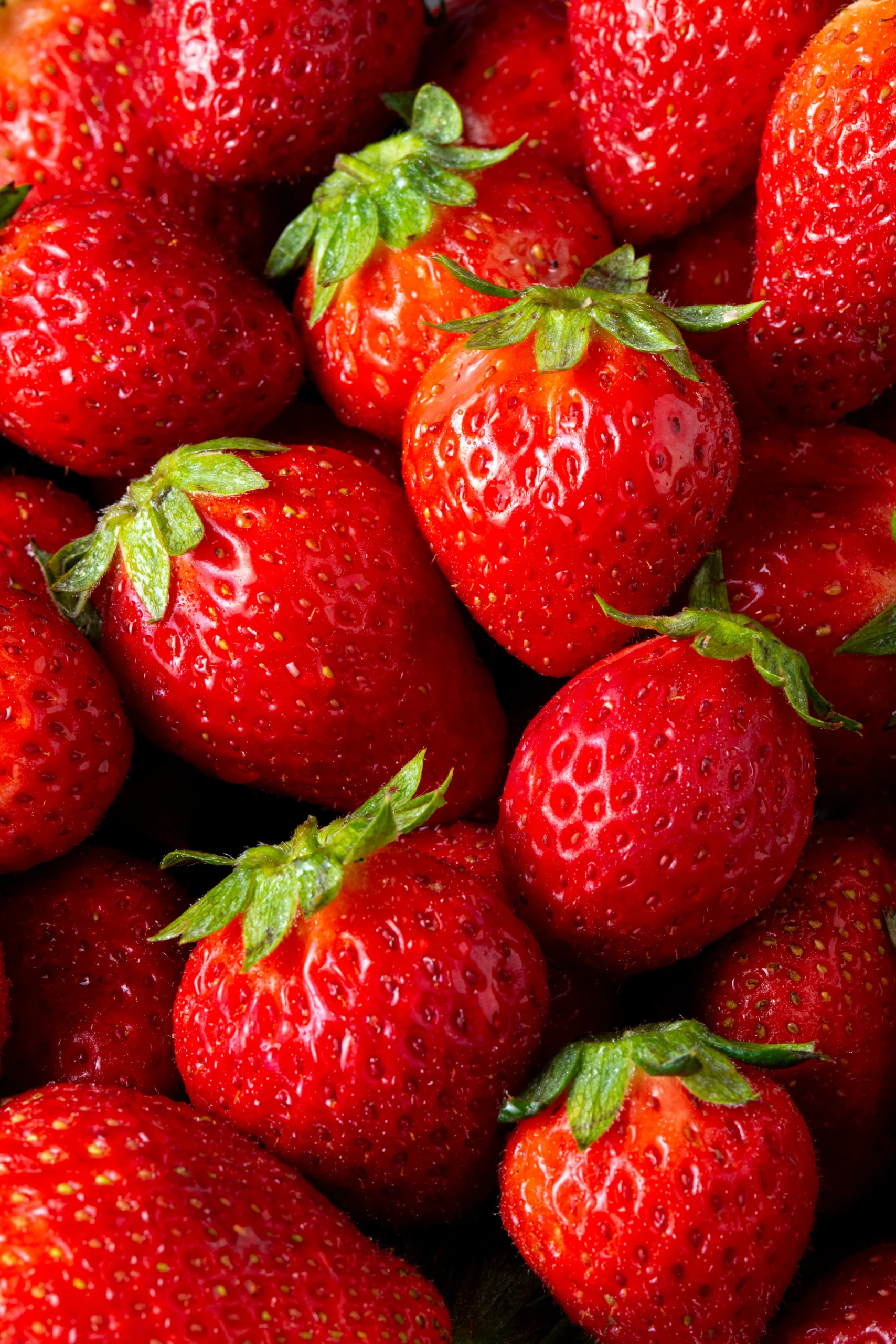 Venta de Fertilizante en Uruapan Michoacán Venta de abono en Uruapan Michoacán Venta de Agroquímicos en Uruapan Michoacán Fertilizante en Michoacán Abono en Michoacán Agroquímicos en Michoacán Venta de Fertilizante en Aguascalientes Venta de Agroquímicos en Aguascalientes Fertilizante en Aguascalientes Agroquímicos en Aguascalientes Venta de Fertilizante en Guadalajara Jalisco Venta de Agroquímicos en Guadalajara Jalisco Fertilizante en Guadalajara Jalisco Agroquímicos en Guadalajara Jalisco Venta de Fertilizante en Zacatecas Venta de Agroquímicos en Zacatecas Fertilizante en Zacatecas Agroquímicos en Zacatecas Agroquímica Fertilizante Agroquímicos Uruapan Tepeyac Agroquímicos La Perla del Cupatitzio SA de CV - Uruapan LOBAY de Uruapan Agroquímicos Avoberries Agroquímicos AgroNitro Uruapan FERTIGAR AGROQUIMICOS Agroquímicos El Trebol AGROPRODUCTOS Agrovaza Michoacan SAdeCV AGROKORITA AGRICULTURA ORGANICA Agroquimicos El Milenio Insumos Agrícolas de la Región IAR Agroquimicos Monarca AGROQUIMICOS OCHOCHEM AGRO RANCHITO Agroquímicos COMAG S.A. de C.V. Agroquimicos La Gran Parada Agromich Fertilizantes y Agroquímicos La Pista Serifel BASF Merivon Headline basagran herbicida bayfolan elumis herbicida fusilade herbicida clavis bayer syngenta elumis topas ridomil gold primagram gold basagran biothrine flow elumis syngenta elumis herbicida precio elumis duo elumis herbicida megafol bayfolan forte sivanto ficha tecnica isabion ampligo bayfolan ficha tecnica pivot herbicida elumis precio clavis bayer precio basagran 480 ampligo ficha tecnica basagran 480 para que sirve previcur herbicida elumis precio banvel herbicida aliette fungicida krovar ridomil minecto duo sivanto switch fungicida biothrine isabion ficha tecnica ampligo precio amistar gold demand duo ampligo syngenta amistar decis forte isabion syngenta herbicida fusilade elumis herbicida para que sirve cupravit basagran herbicida ficha técnica sifatec yieldon syngenta clavis bayer uniform syngenta clavis bayer precio krovar precio movento ficha tecnica cultar syngenta herbicida basagran ridomil gold bravo elumis herbicida ficha técnica megafol ficha tecnica adengo insecticida para gusano cogollero bayer ridomil gold 480 previcur benevia quick bayt deltametrina bayer amistar gold ficha técnica previcur energy krovar herbicida minecto duo ficha técnica brexil combi actara quilt syngenta karate zeon ficha técnica herbicida elumis herbicida glifosato anajalsa imidacloprid bayer valagro catálogo biothrine flow bayer denim syngenta bayfolan para que sirve fusilade herbicida precio alika syngenta bayfolan forte miravis prime ficha tecnica bayfolan precio corteva agriscience dual gold folicur elumis duo precio agroquímicos activador foliar pacifex abamex acetoclor advanced nutrients connoisseur agroquímicos de bayer agroquí­micos y fertilizantes biocrop precio bocachi diatomix gruindag fungicida innovator fungicida lombardia agroquimicos tiamex abonadora de granulados agro quimicos agrofe agrokorita productos agroplasma ferticell agroquímica agroquímicos dragon agroquímicos en jalisco agroquímicos en mexico agroquímicos en morelia agroquímicos Lombardía agroquímicos lombardia uruapan agroquímicos palmar s de r l agroquímicos queretaro agroquímicos rivas agroquímicos texcoco agroquímicos versa s a de c v agroquí­mica tridente s a de c v agroquí­micos agroquí­micos en la plata allectus 300 sc amistar top precio arysta agroquí­micos atp innovak bulto de sulfato de amonio precio catalogo fertilizantes cloruro de potasio fertilizante cloruro de potasio granulado precio distribuidora de agroquimicos donde comprar urea empresas agroquimicas en mexico empresas de agronomia en mexico empresas de agroquÃ­micos en mÃ©xico entrust insecticida precio fabricantes de fertilizantes en mÃ©xico fertilizante fertilizante urea precio fertilizantes fertilizantes agricolas fertilizantes del norte fertilizantes e insumos agricolas s a de c v fertilizantes en durango fertilizantes liquidos ecologicos fertilizantes organicos fertilizantes para plantas de jardin fertilizantes puebla fertilizantes tecnificados de zapopan s a de c v fertilizantes tepeyac planta coatzacoalcos fertilizantes tlaxcala fertilizantes yara precios fitomare atlÃ¡ntica fitosanitarias forza herbicida fosfato diamonico dap fungicidas para plantas h2flo humistar imidapropil insecticidas agrÃ­colas krismat herbicida precio lepertrin gruindag maxiplant forte mc set valagro mejoradores de suelo metralla max micorrizas venta monoupel moreless fertilizante nimitz nematicida nitrato de amonio fertilizante nitrofoska nitrosulfato nueva agricultura packhard innovak pesticidas mexico productos fagro programa nacional de fertilizantes proveedor de fertilizantes quimical maneadero supermagro precio syngenta guatemala terralyt plus tienda agroquímicos tienda de agroinsumos tienda de agroquímicos tiendas de agroquí­micos tonelada de fertilizante precio ultra select urea abono venta agroquímicos venta de agroquímicos venta de agroquí­micos por mayoreo venta de fertilizantes en chihuahua venta de insecticidas en chihuahua